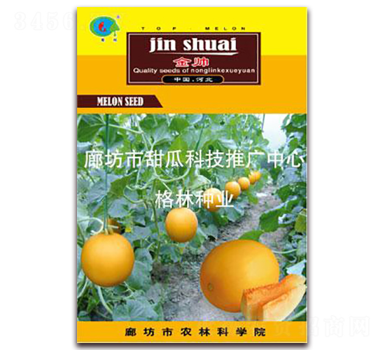 ����-��ϷN��-����N�I(y��)