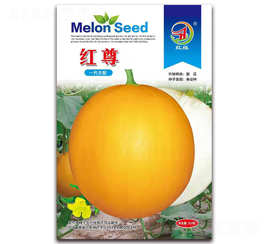 �t��-��ϷN��-����N�I(y��)