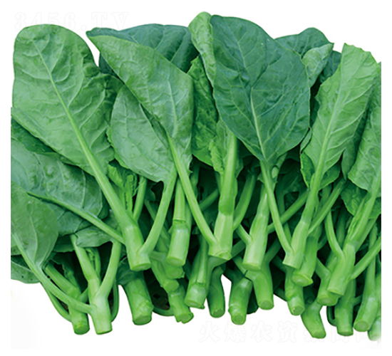 �����������m-���m�N��-����