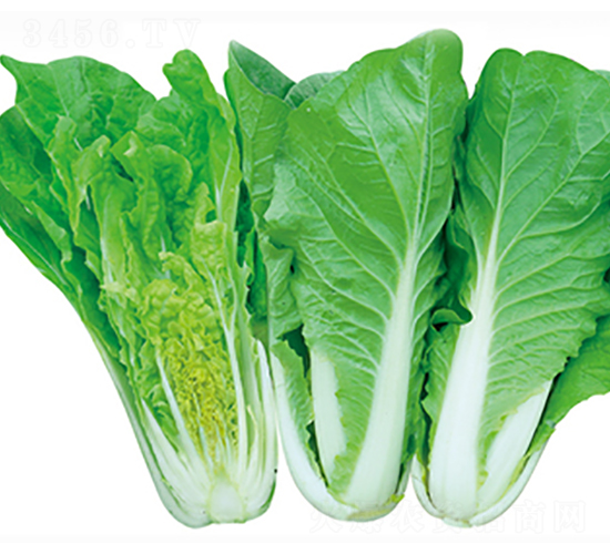 ���\1̖(h��o)-�ײ˷N��-����