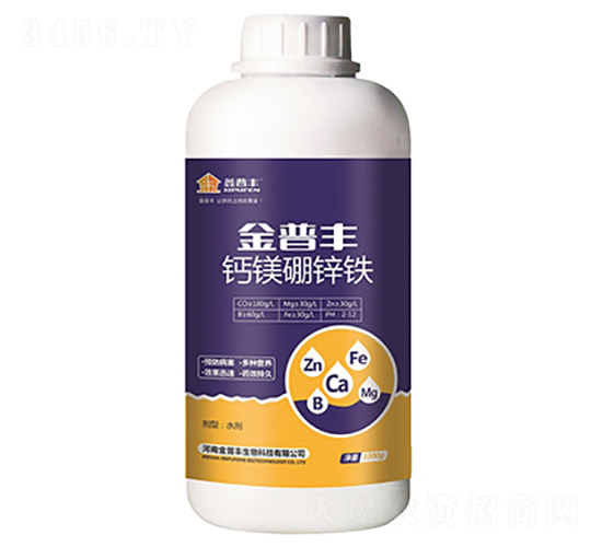 �}�V���\�F-�����S