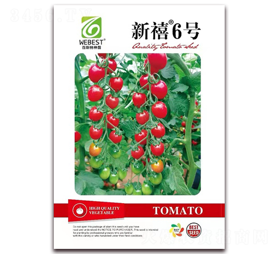 ����6̖-���ѷN��-��˹��