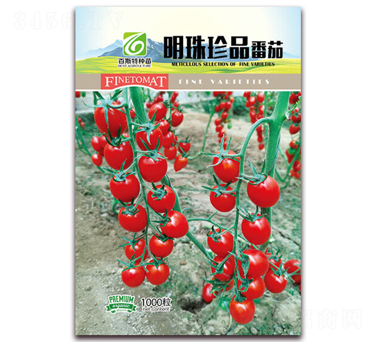 ������Ʒ-���ѷN��-��˹��