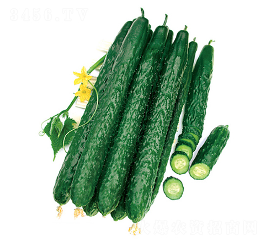 ����̖(h��o)���-�S�ϷN��-����