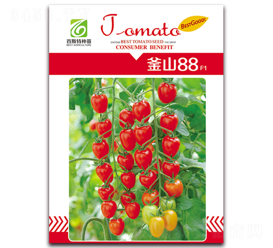 ��ɽ88���ҷ���-���ѷN��-��˹��