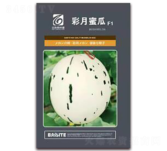 �����۹�-��ϷN��-��˹��