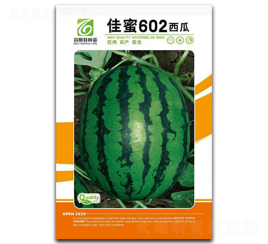 ����602-���ϷN��-��˹��