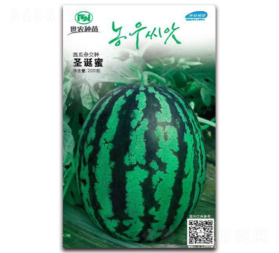 ʥ�Q��-���ϷN��-��˹��