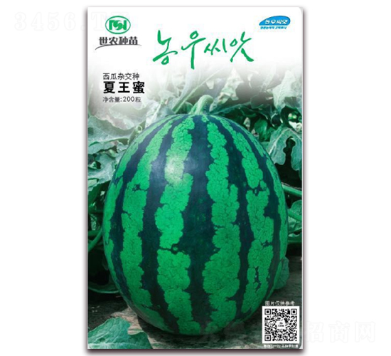 ������-���ϷN��-��˹��