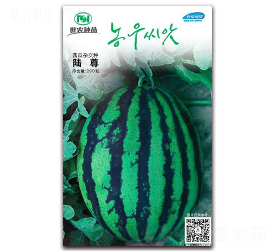 ���-���ϷN��-��˹��