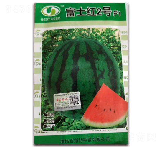 ��ʿ�t2̖-���ϷN��-��˹��