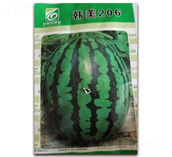 �n��206-���ϷN��-��˹��