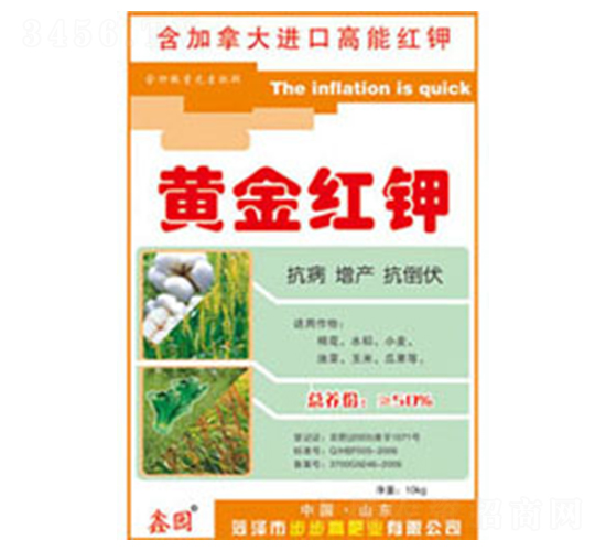 �S��t�-�Έ@