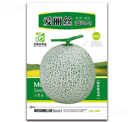 �����z-��ϷN��-��˹��