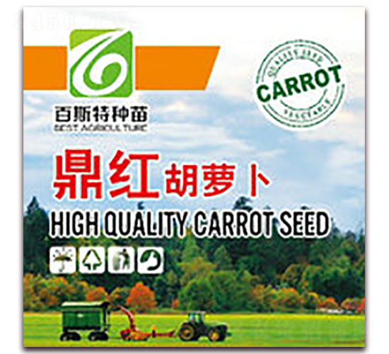 ���t-���}���N��-��˹��