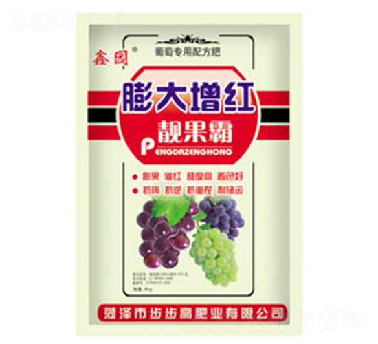 ������t�n����-�Έ@