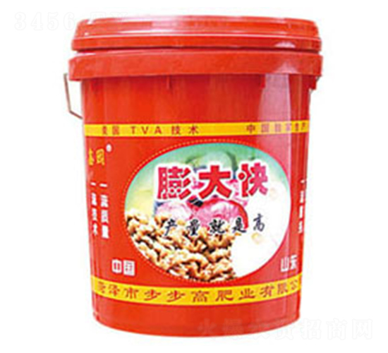 ����_ʩ��-�Έ@