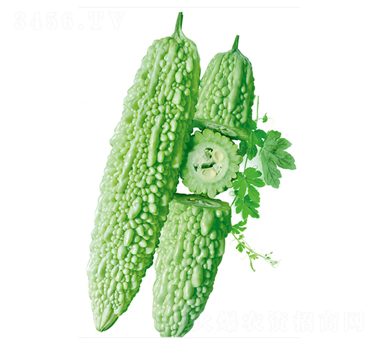 �����̖(h��o)-��ϷN��-����