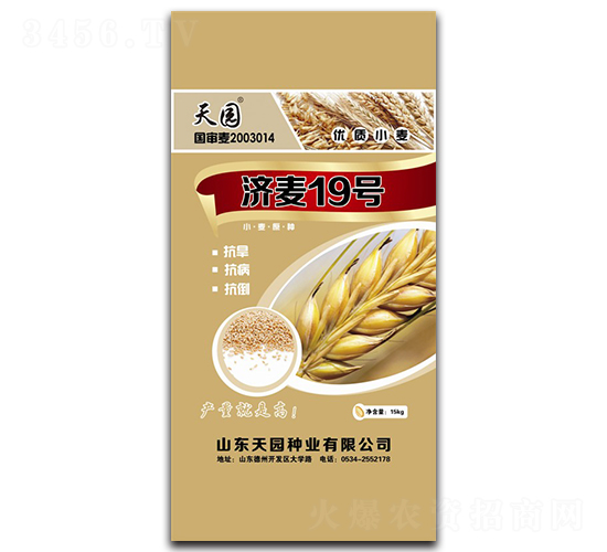 ��(j��)��19-С���N��-��@�N�I(y��)