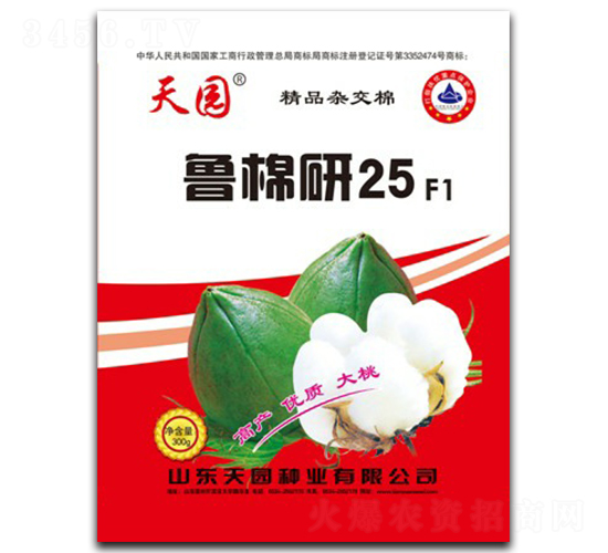 ������25̖(h��o)-�޻��N��-��@�N�I(y��)