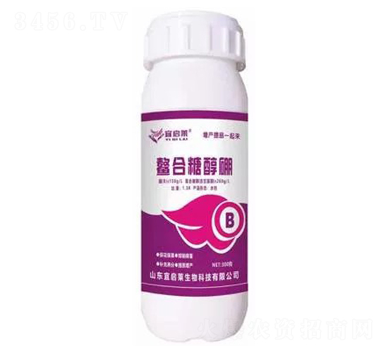 �����Ǵ���-�ˆ��R