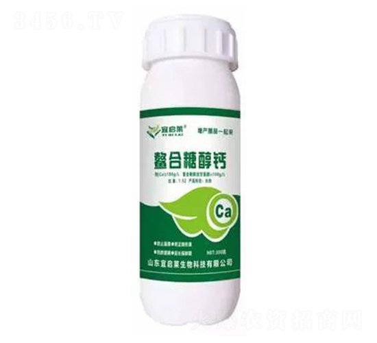 �����Ǵ��}-�ˆ��R