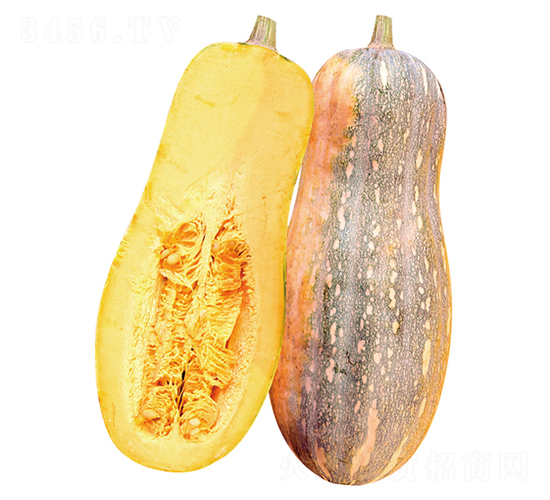 �Ǳ���̖(h��o)-�ϹϷN��-����