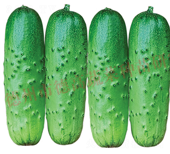 �¸�1925-�S�ϷN��-�¸�