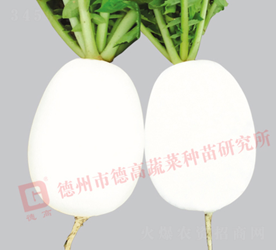 �ߠ���-���}���N��-�¸�