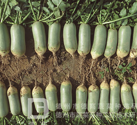 ����-ˮ���}���N��-�¸�