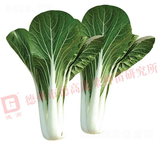 �¸�1420-�׹��˷N��-�¸�