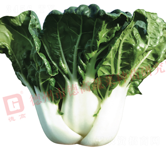 �¸�N1024-�׹��˷N��-�¸�