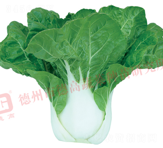 ���Z��1̖-�׹��˷N��-�¸�