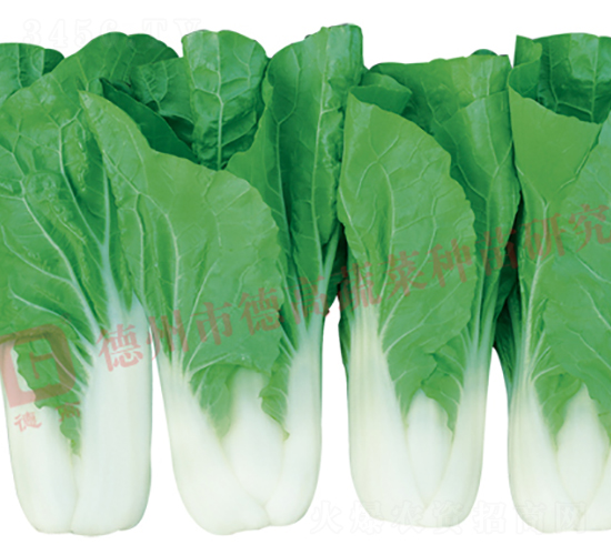 ���Z��2̖(h��o)-�׹��˷N��-�¸�