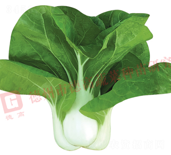 �¸�1435-�׹��˷N��-�¸�