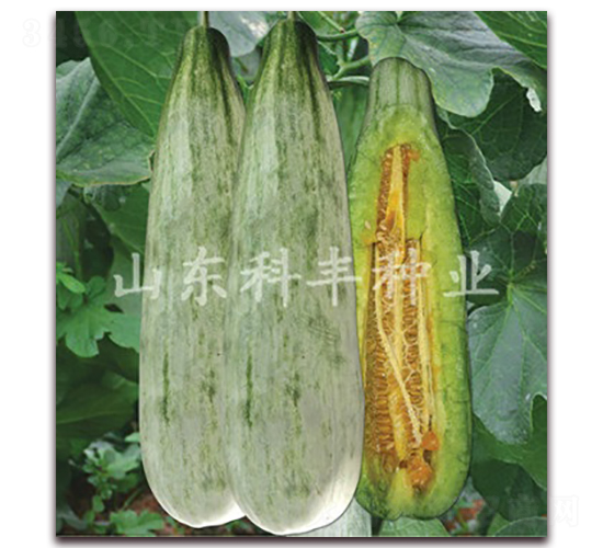 ������-��ϷN��-���S�N�I(y��)