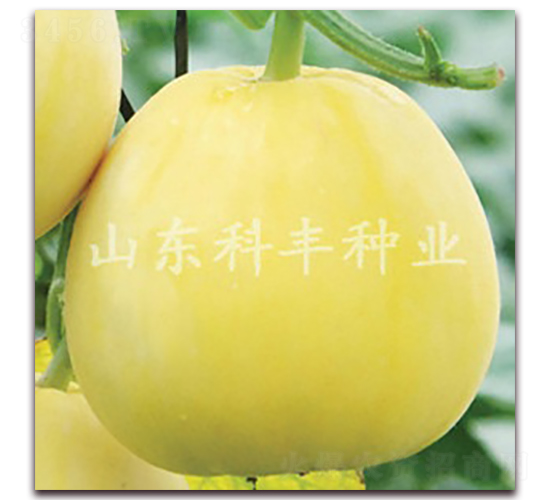 ɽ����һ̖-��ϷN��-���S�N�I(y��)