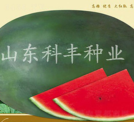 �������B��-���ϷN��-���S�N�I(y��)