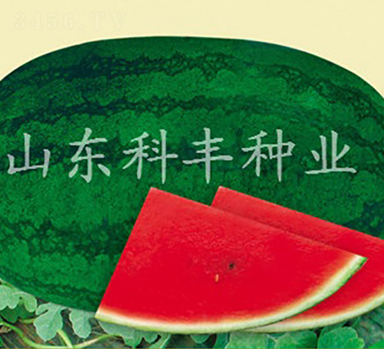 �������B��-���ϷN��-���S�N�I(y��)