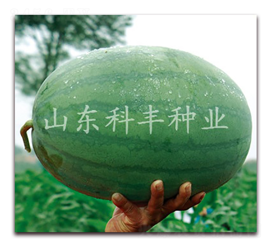 �ش�tɳ��-���ϷN��-���S�N�I(y��)