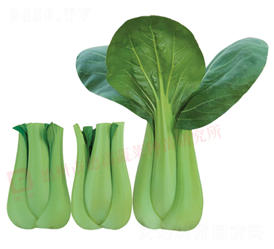 �~������-�¸�670-�๣�˷N��-�¸�