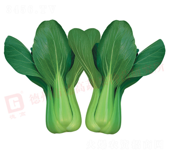 �¸ߟ��L-�๣�˷N��-�¸�