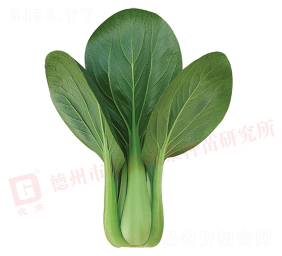 �¸�����-�๣�˷N��-�¸�