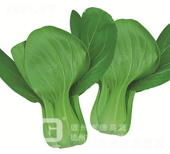 �¸ߴ���1̖-�๣�˷N��-�¸�