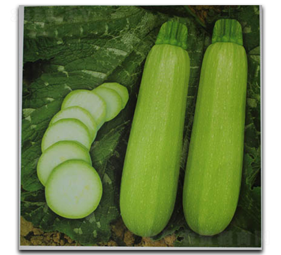 ����S2-�����J�N��