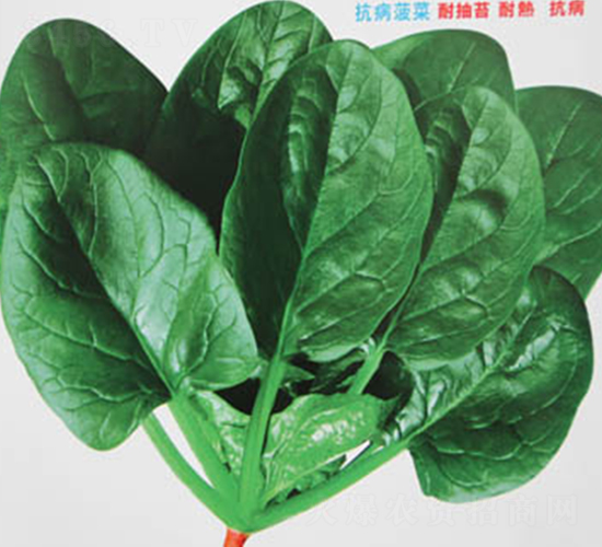 ���m�G��-���˷N��