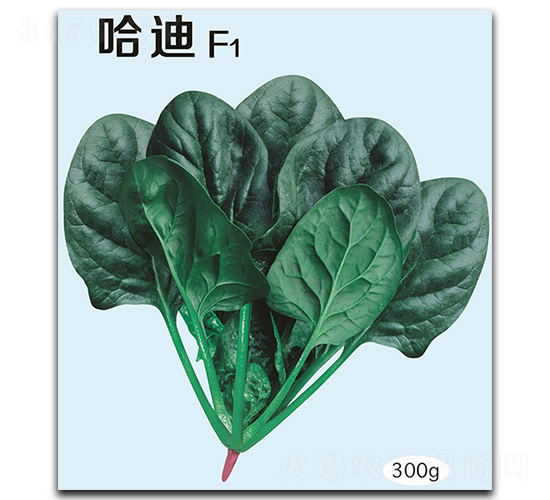 ����-���˷N��