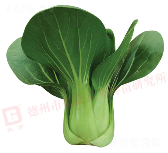 ���_������-�¸�489-�๣�˷N��-�¸�