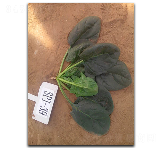 ����Խ����-���˷N��