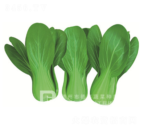 ����7̖(h��o)-�๣�˷N��-�¸�